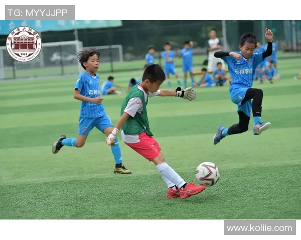 草泥足球的崛起与挑战:探讨这项运动对社会文化的影响与未来发展 草泥足球的崛起与挑战:探讨这项运动对社会文化的影响与未来发展