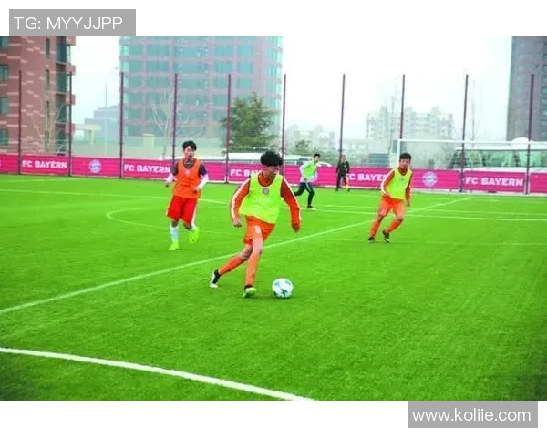 足球狗基地:打造宠物与足球爱好者的欢乐乐园与交流平台 足球狗基地:打造宠物与足球爱好者的欢乐乐园与交流平台