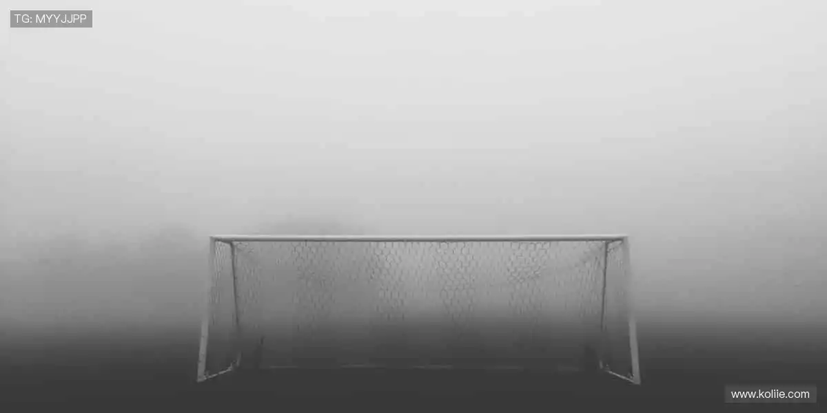 运动潮品，穿出你的冠军态度！👕🏅