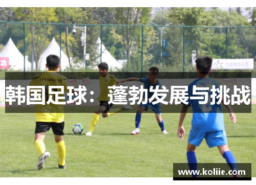 韩国足球：蓬勃发展与挑战