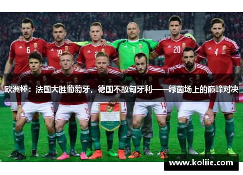 欧洲杯：法国大胜葡萄牙，德国不敌匈牙利——绿茵场上的巅峰对决