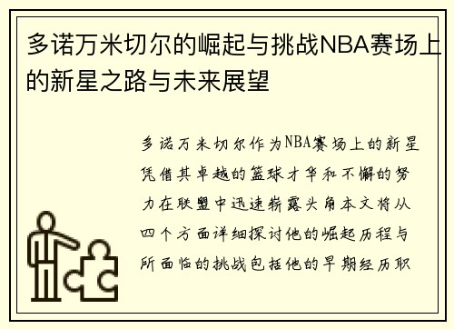 多诺万米切尔的崛起与挑战NBA赛场上的新星之路与未来展望